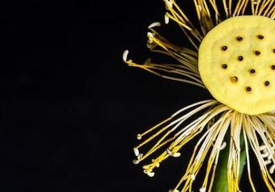 诚实的名人名言(精选48句) 诚实的名人名言(精选48句)