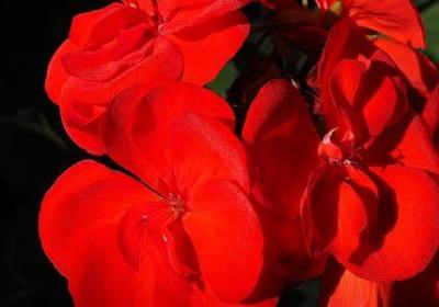 讲文明名言警句(合集50句) 讲文明名言警句(合集50句)