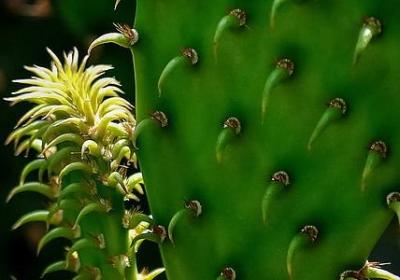 诸葛亮名言名句(合集30句) 诸葛亮名言名句(合集30句)