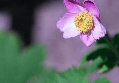 读书笔记名人名言(20句) 读书笔记名人名言(20句)