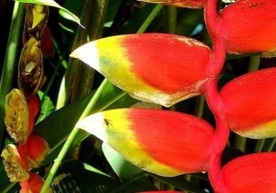 贝多芬名人名言(实用80句) 贝多芬名人名言(实用80句)