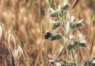 诚实名人名言(热门68句) 诚实名人名言(热门68句)