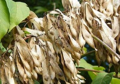 讲礼貌的名言(合集10句) 讲礼貌的名言(合集10句)