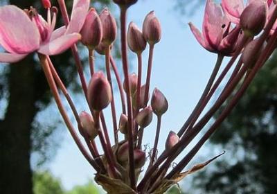 贝克汉姆名言(汇总10句) 贝克汉姆名言(汇总10句)