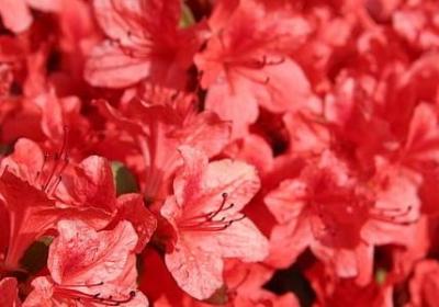 诚信交友的名言(合集60句) 诚信交友的名言(合集60句)