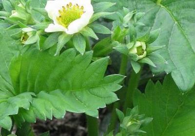 费尔巴哈名言(共80句) 费尔巴哈名言(共80句)