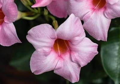 认识自己的名言(实用50句) 认识自己的名言(实用50句)