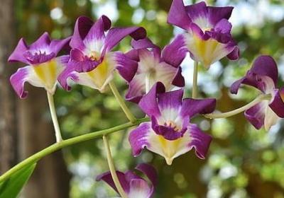 诚实守信的名言名句(精选80句) 诚实守信的名言名句(精选80句)