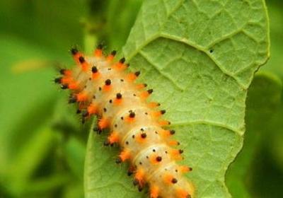 表示勇敢的名言(推荐60句) 表示勇敢的名言(推荐60句)