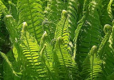 运动名言警句(必备49句) 运动名言警句(必备49句)