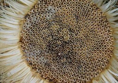 董卿的经典语录(推荐60句)