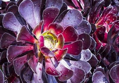 自由的名言警句(汇总50句)