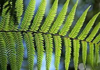 竞争的名人名言(优选30句)