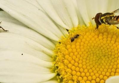 管理名言警句(通用80句)