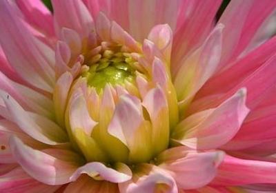 苏格拉底的名言(实用20句)