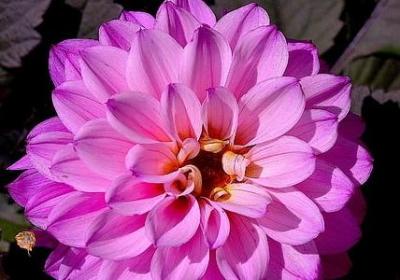 莎士比亚励志名言(优选29句) 莎士比亚励志名言(优选29句)