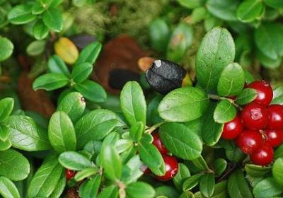 节约粮食名言(汇总51句) 节约粮食名言(汇总51句)