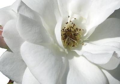 给孩子的励志名言(推荐40句) 给孩子的励志名言(推荐40句)