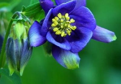 英雄人物名言(实用40句) 英雄人物名言(实用40句)