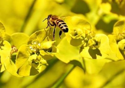 科比励志名言(合集35句)