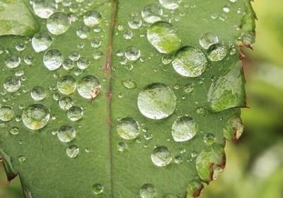 简短的励志名言(通用70句) 简短的励志名言(通用70句)