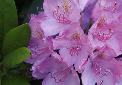 自信的名人名言(合集91句) 自信的名人名言(合集91句)