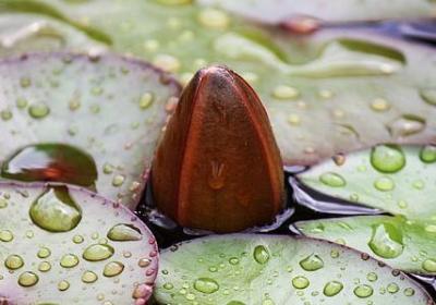 立志的名言警句(共80句) 立志的名言警句(共80句)