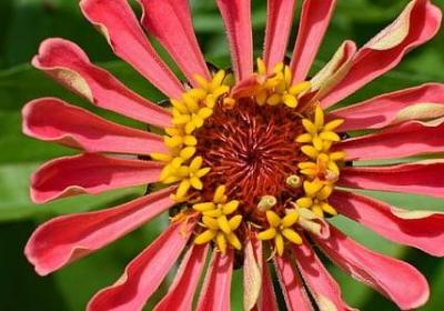 自律的名言名句(合集40句) 自律的名言名句(合集40句)