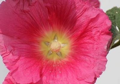 美术教育名言(合集80句) 美术教育名言(合集80句)