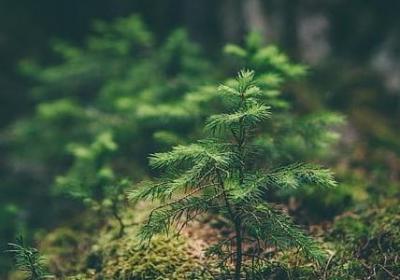 经典至理名言(共100句) 经典至理名言(共100句)