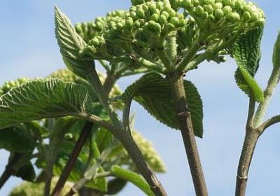 行为习惯的名言(热门100句) 行为习惯的名言(热门100句)