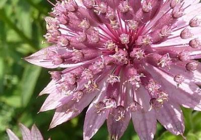 诚信的名言名句(共60句) 诚信的名言名句(共60句)