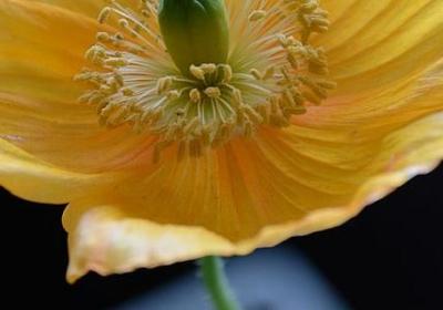 遵守规则名言(120句) 遵守规则名言(120句)