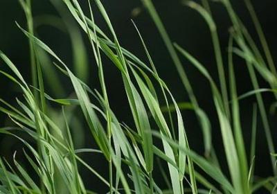 赞美老师名言(必备50句) 赞美老师名言(必备50句)