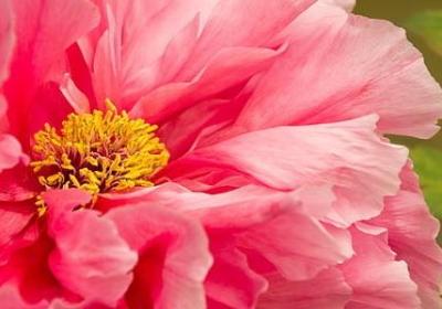 运动的名言警句(合集40句) 运动的名言警句(合集40句)