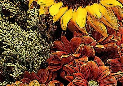 讲信用的名言警句(合集80句) 讲信用的名言警句(合集80句)