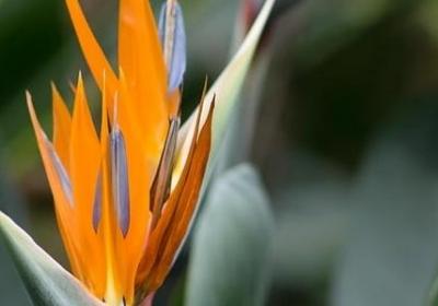 讲究方法的名言(精选140句) 讲究方法的名言(精选140句)