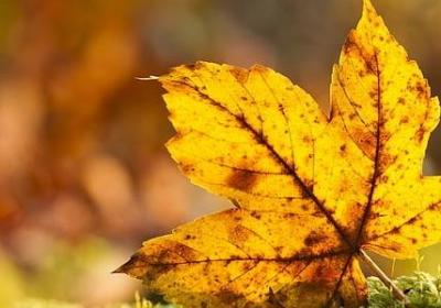 说和做的名言(60句) 说和做的名言(60句)