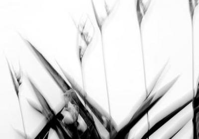 设计大师名言(通用75句) 设计大师名言(通用75句)