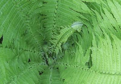 等待的名言名句(精选60句)