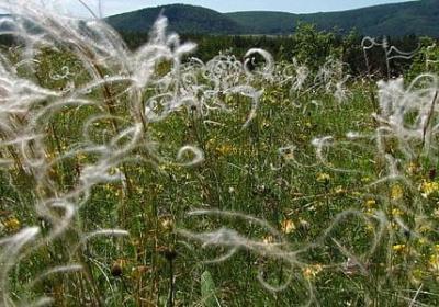 红色基因名言(推荐40句)