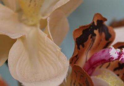 英语名言手抄报(优选119句)