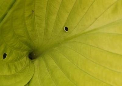 苏格拉底名言(优选20句) 苏格拉底名言(优选20句)