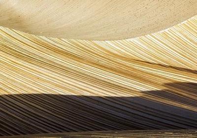 著名心理学家名言(实用90句) 著名心理学家名言(实用90句)