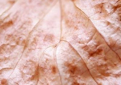 稻盛和夫经典名言(必备60句) 稻盛和夫经典名言(必备60句)