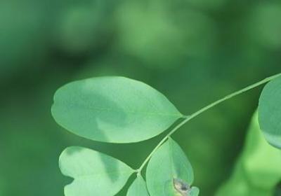 舍己为人的名言(汇总40句) 舍己为人的名言(汇总40句)