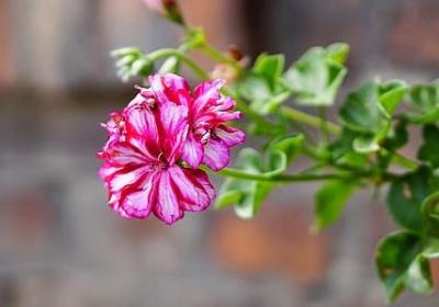 积累知识的名言(必备70句) 积累知识的名言(必备70句)