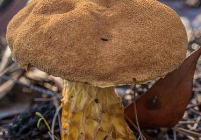 经典的名言警句(50句) 经典的名言警句(50句)