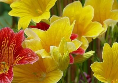 英语名人名言(推荐78句) 英语名人名言(推荐78句)