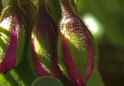 美的名言警句(实用80句) 美的名言警句(实用80句)